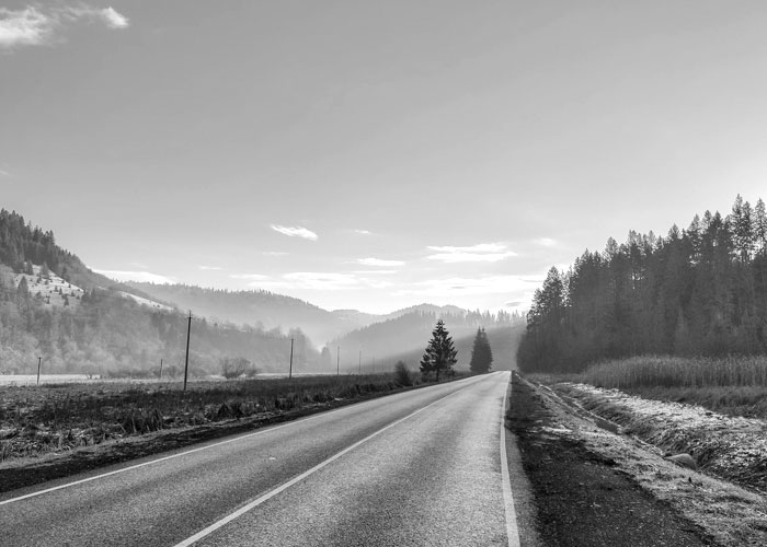 banner 7.jpg